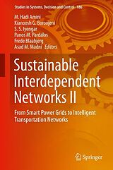 eBook (pdf) Sustainable Interdependent Networks II de 