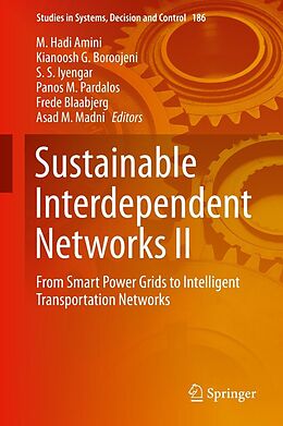 eBook (pdf) Sustainable Interdependent Networks II de 