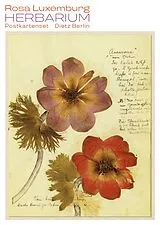 Kartonierter Einband Herbarium Postkartenset von Rosa Luxemburg