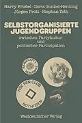 E-Book (pdf) Selbstorganisierte Jugendgruppen zwischen Partykultur und politischer Partizipation von Harry Friebel