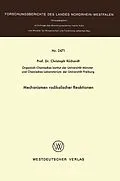 E-Book (pdf) Mechanismen radikaler Reaktionen von Christoph Rüchardt