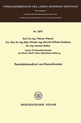 E-Book (pdf) Reoxidationsschutz von Eisenschwamm von Werner Wenzel