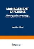 E-Book (pdf) Management Effizienz von Matthias Hirzel