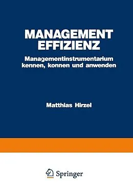 E-Book (pdf) Management Effizienz von Matthias Hirzel