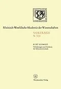 E-Book (pdf) Verlockungen und Gefahren der Schattenwirtschaft von Kurt Schmidt