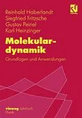 E-Book (pdf) Molekulardynamik von Reinhold Haberlandt, Siegfried Fritzsche, Gustav Peinel