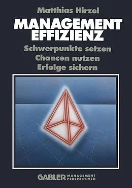 E-Book (pdf) Management Effizienz von Matthias Hirzel