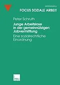E-Book (pdf) Junge Arbeitslose in der gemeinnützigen Jobvermittlung von Peter Schruth