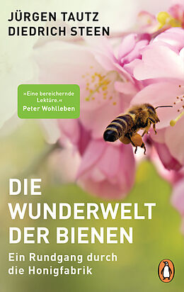 Kartonierter Einband Die Wunderwelt der Bienen von Jürgen Tautz, Diedrich Steen