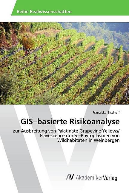GIS basierte Risikoanalyse