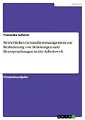 E-Book (pdf) Betriebliches Gesundheitsmanagement zur Reduzierung von Belastungen und Beanspruchungen in der Arbeitswelt von Franziska Scherer