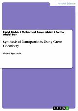E-Book (pdf) Synthesis of Nanoparticles Using Green Chemistry von Farid Badria, Mohamed Abouhabieb, Fatma Abdel Bar