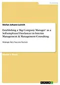 E-Book (pdf) Establishing a 'Big Company Manager' as a Self-employed Freelancer in Interim Management & Management Consulting von Stefan Johann Leirich