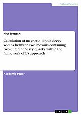 E-Book (pdf) Calculation of magnetic dipole decay widths between two mesons containing two different heavy quarks within the framework of BS approach von Hluf Negash