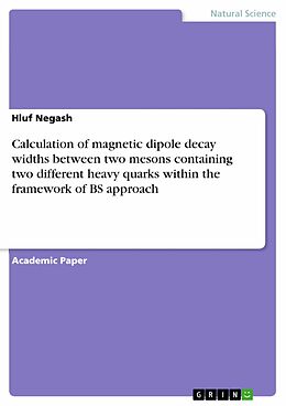 eBook (pdf) Calculation of magnetic dipole decay widths between two mesons containing two different heavy quarks within the framework of BS approach de Hluf Negash