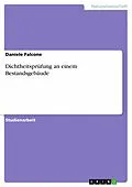 E-Book (pdf) Dichtheitsprüfung an einem Bestandsgebäude von Daniele Falcone