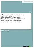 E-Book (pdf) Abweichendes Verhalten und Jugendkriminalität. Der Einfluss von Peer-Groups und Subkulturen von Cynthia Beckmann, Alicia Schneider
