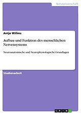 E-Book (pdf) Aufbau und Funktion des menschlichen Nervensystems von Antje Willms