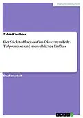 E-Book (pdf) Der Stickstoffkreislauf im Ökosystem Erde. Teilprozesse und menschlicher Einfluss von Zahra Kouzbour