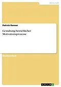 E-Book (pdf) Gestaltung betrieblicher Motivationsprozesse von Patrick Renner