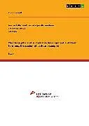 E-Book (pdf) The three pillars of sustainable development and their tensions. Discussion of various examples von Christina Wulf