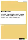 E-Book (pdf) Economic Development Obstacles in Africa and the Middle East. Reasons for the Slow Development of Entrepreneurship von Antoine Niyungeko