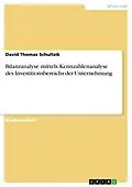 E-Book (pdf) Bilanzanalyse mittels Kennzahlenanalyse des Investitionsbereichs der Unternehmung von David Thomas Schultzik