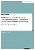 E-Book (pdf) Der Einfluss von Selbstwirksamkeit, Achtsamkeit und sozialer Unterstützung auf das Wohlbefinden bei Studierenden von Paul Schmid