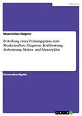 E-Book (pdf) Erstellung eines Trainingsplans zum Muskelaufbau. Diagnose, Krafttestung, Zielsetzung, Makro- und Mesozyklus von Maximilian Wagner