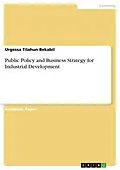 E-Book (pdf) Public Policy and Business Strategy for Industrial Development von Urgessa Tilahun Bekabil