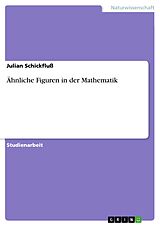 E-Book (pdf) Ähnliche Figuren in der Mathematik von Julian Schickfluß