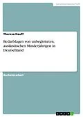 E-Book (pdf) Bedarfslagen von unbegleiteten, ausländischen Minderjährigen in Deutschland von Theresa Hauff