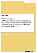 E-Book (epub) Die Bedeutung von Zahlungsverkehrsdienstleistern in Europa und Übersee. Insbesondere Wise (rechtlich: Transferwise plc), London, und Western Union Holdings Inc., USA von Halil Tunc