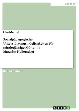 E-Book (pdf) Sozialpädagogische Unterstützungsmöglichkeiten für minderjährige Mütter in Marzahn-Hellersdorf von Lisa Menzel