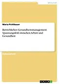 E-Book (pdf) Betriebliches Gesundheitsmanagement. Spannungsfeld zwischen Arbeit und Gesundheit von Maria Pichlbauer