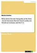 E-Book (pdf) What drives Income Inequality at the Firm - Level? Literature Review based on Recent Trends in Germany and the U.S. von Martin Schaller