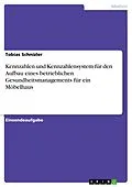 E-Book (pdf) Kennzahlen und Kennzahlensystem für den Aufbau eines betrieblichen Gesundheitsmanagements für ein Möbelhaus von Tobias Schnizler