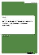 Der Genius und der Wanderer in Johann Wolfgang von Goethes "Wandrers Sturmlied"