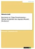 E-Book (pdf) Rezension zu "Träge Transformation - Welche Denkfehler den digitalen Wandel blockieren" von Manuela Jandl