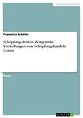 E-Book (pdf) Schöpfung denken. Zeitgemäße Vorstellungen vom Schöpfungshandeln Gottes von Franziska Schäfer