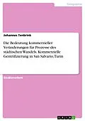 E-Book (pdf) Die Bedeutung kommerzieller Veränderungen für Prozesse des städtischen Wandels. Kommerzielle Gentrifizierung in San Salvario, Turin von Johannes Tenbrink
