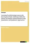 E-Book (pdf) Assessing Non-Performing Loans in the Development Bank of Ethiopia, Bahir Dar District. An Analysis of Determinants Using Quantitative and Qualitative Approaches von Anonymous