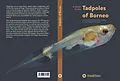 E-Book (epub) A Guide to the Tadpoles of Borneo von Alexander Haas, Indraneil Das, Stefan T. Hertwig