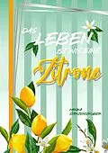 E-Book (epub) Das Leben ist wie eine Zitrone von Monika Starzengruber