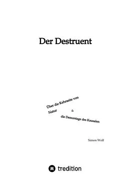 E-Book (epub) DER DESTRUENT von Simon Wolf