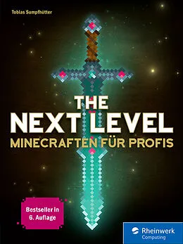 E-Book (pdf) The Next Level von Tobias Sumpfhütter