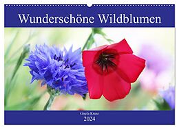 Kalender Wunderschöne Wildblumen (Wandkalender 2024 DIN A2 quer), CALVENDO Monatskalender von Gisela Kruse