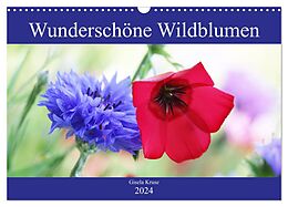 Kalender Wunderschöne Wildblumen (Wandkalender 2024 DIN A3 quer), CALVENDO Monatskalender von Gisela Kruse