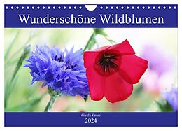 Kalender Wunderschöne Wildblumen (Wandkalender 2024 DIN A4 quer), CALVENDO Monatskalender von Gisela Kruse