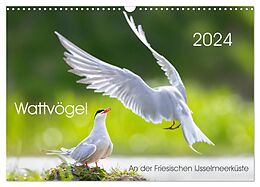 Kalender Wattvögel an der Friesischen IJsselmeerküste (Wandkalender 2024 DIN A3 quer), CALVENDO Monatskalender von Thomas Will